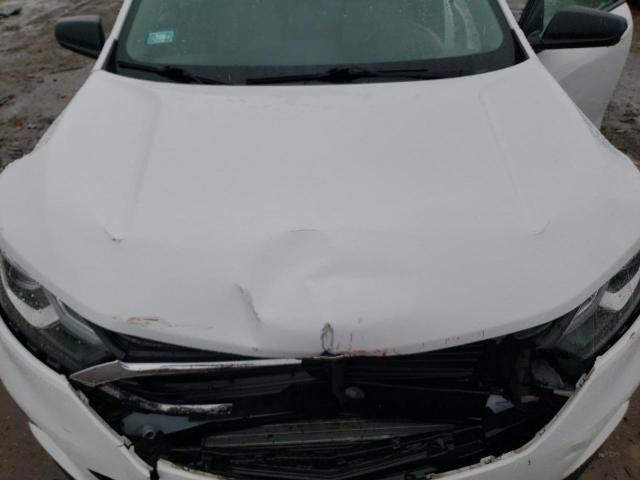 2019 CHEVROLET EQUINOX LS - 3GNAXHEV3KL129804