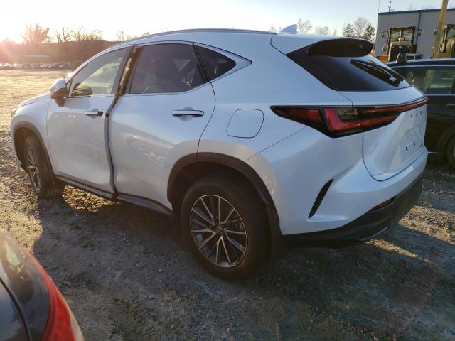 2022 LEXUS NX 250 JTJADCAZXN5001770