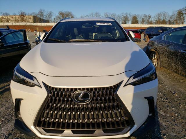 2022 LEXUS NX 250 JTJADCAZXN5001770