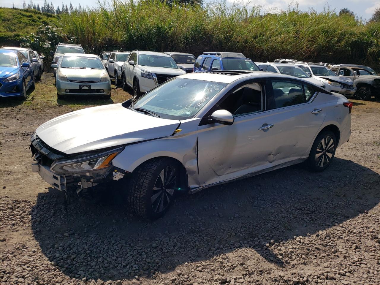 1N4BL4EV1LC163907 NISSAN ALTIMA SL 2020