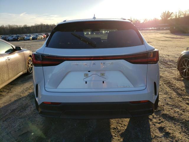 2022 LEXUS NX 250 JTJADCAZXN5001770