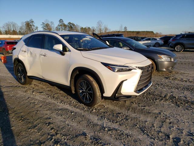 2022 LEXUS NX 250 JTJADCAZXN5001770
