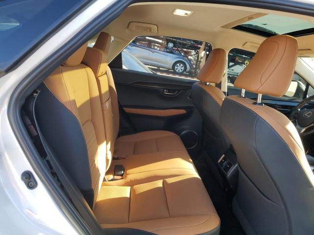 2020 LEXUS NX 300 - JTJGARBZ3L5004091