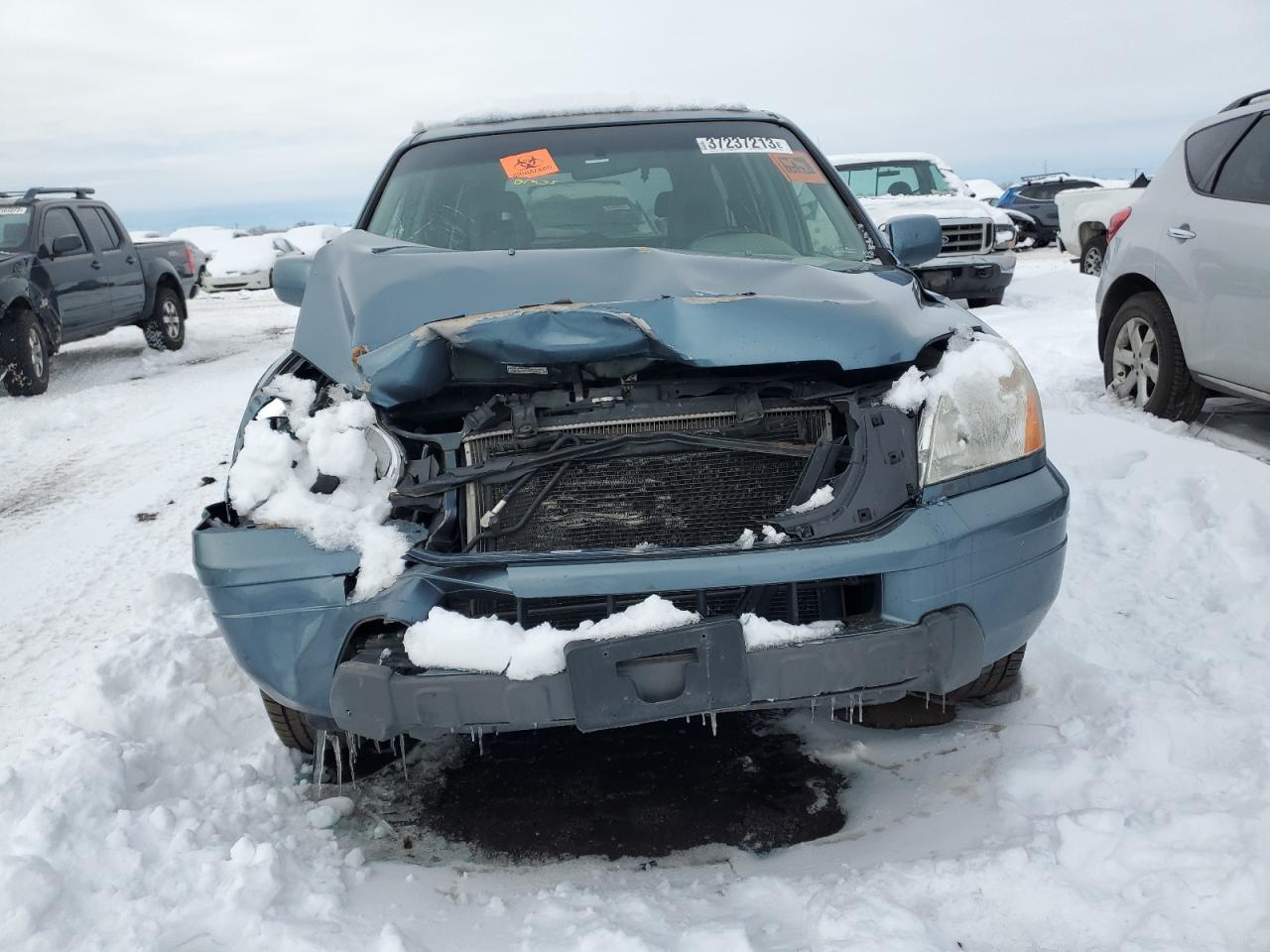 2005 HONDA PILOT EXL - 5FNYF18555B062493
