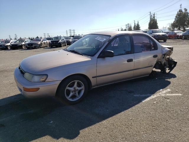 1995 Toyota Corolla LE