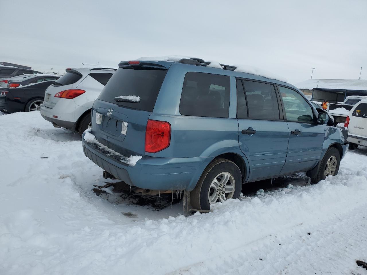 2005 HONDA PILOT EXL - 5FNYF18555B062493