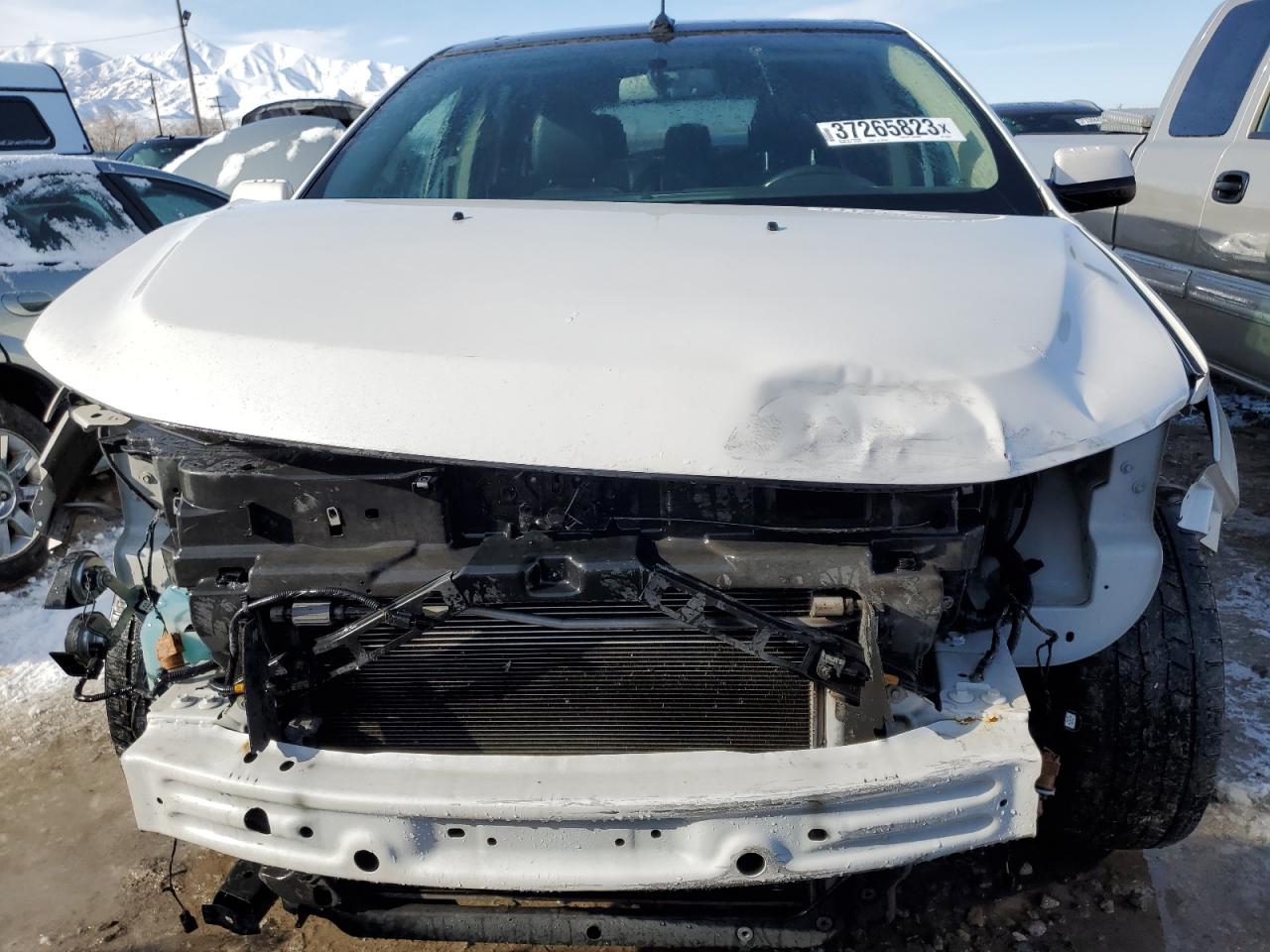 2013 FORD EDGE SEL - 2FMDK3JC1DBA74484