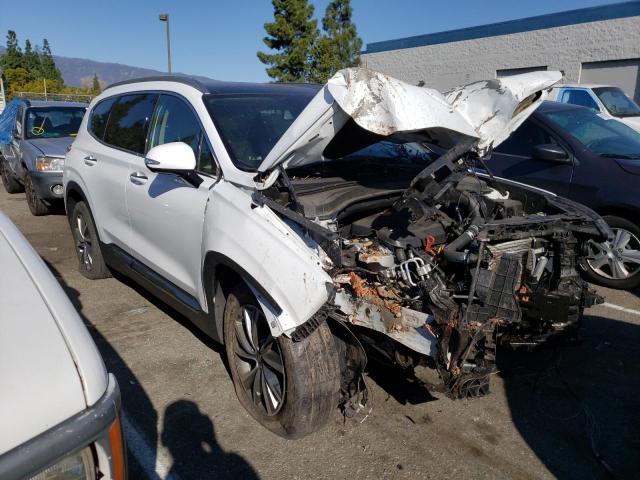 2020 HYUNDAI SANTA FE L - 5NMS53AD3LH253766