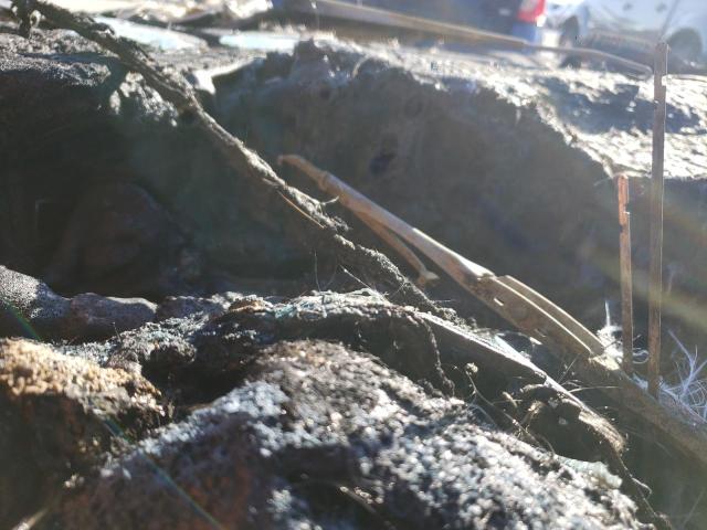 2019 TOYOTA 86 GT - JF1ZNAE16K9702229