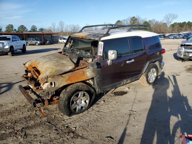 2007 Toyota FJ Cruiser 