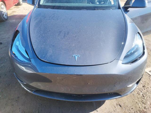2022 TESLA MODEL Y - 7SAYGDEE7NF505572