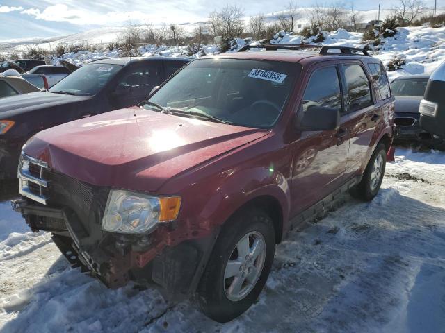 Salvage cars for sale at Reno, NV auction: 2009 Ford Escape XLT