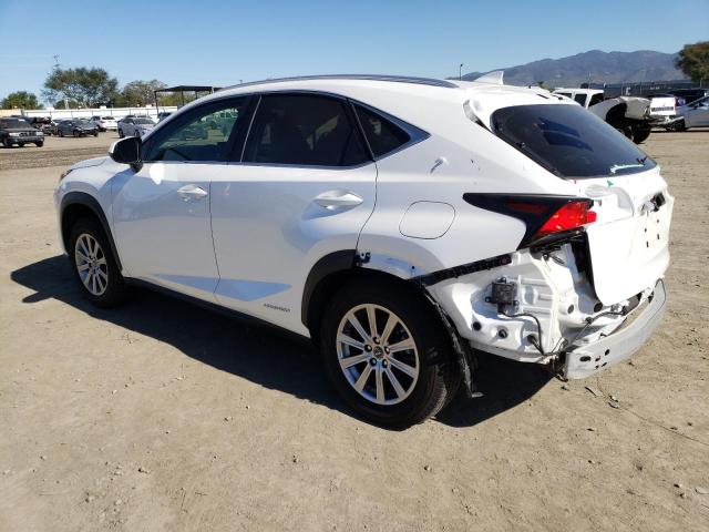 2019 LEXUS NX 300H - JTJBJRBZ5K2108530
