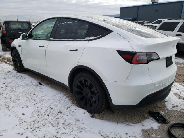 2021 TESLA MODEL Y 5YJYGDEE0MF097153