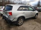 KIA SORENTO EX photo