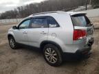 KIA SORENTO EX photo