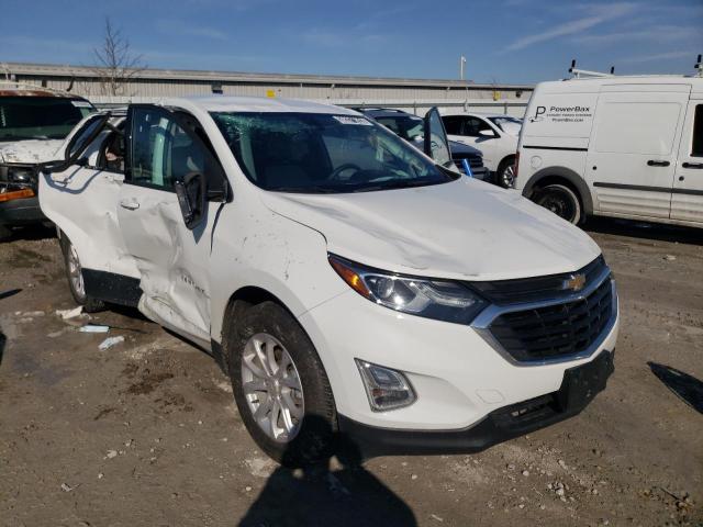 2019 CHEVROLET EQUINOX LS - 3GNAXHEV1KS621950