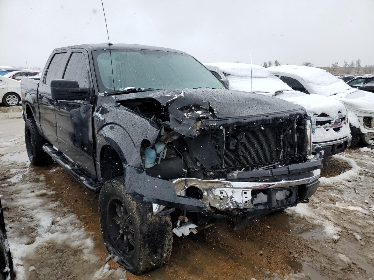 2014 FORD F150 SUPERCREW - 1FTFW1EF6EFC19397