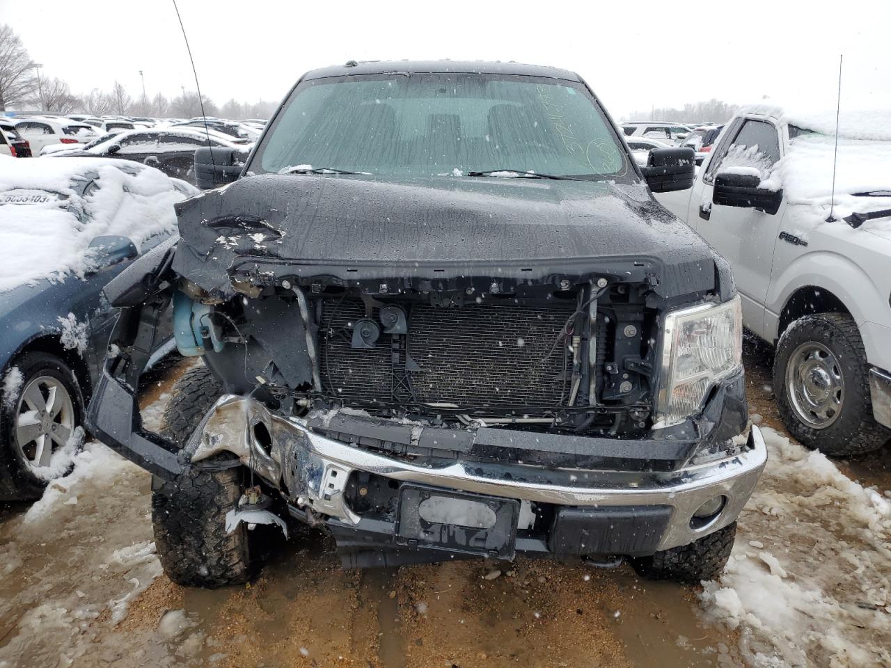 2014 FORD F150 SUPERCREW - 1FTFW1EF6EFC19397
