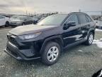 2020 TOYOTA RAV4 LE - 2T3B1RFV4LC129812