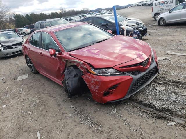 2019 TOYOTA CAMRY L/LE - 4T1B11HKXKU295164