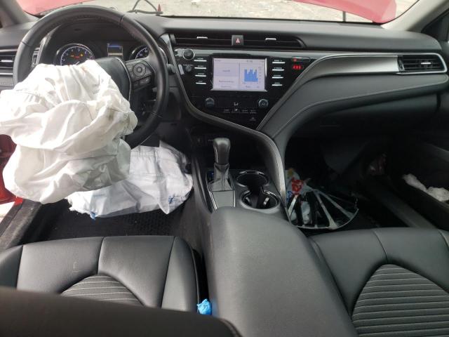 2019 TOYOTA CAMRY L/LE - 4T1B11HKXKU295164