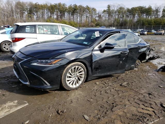 2020 Lexus ES 300h 