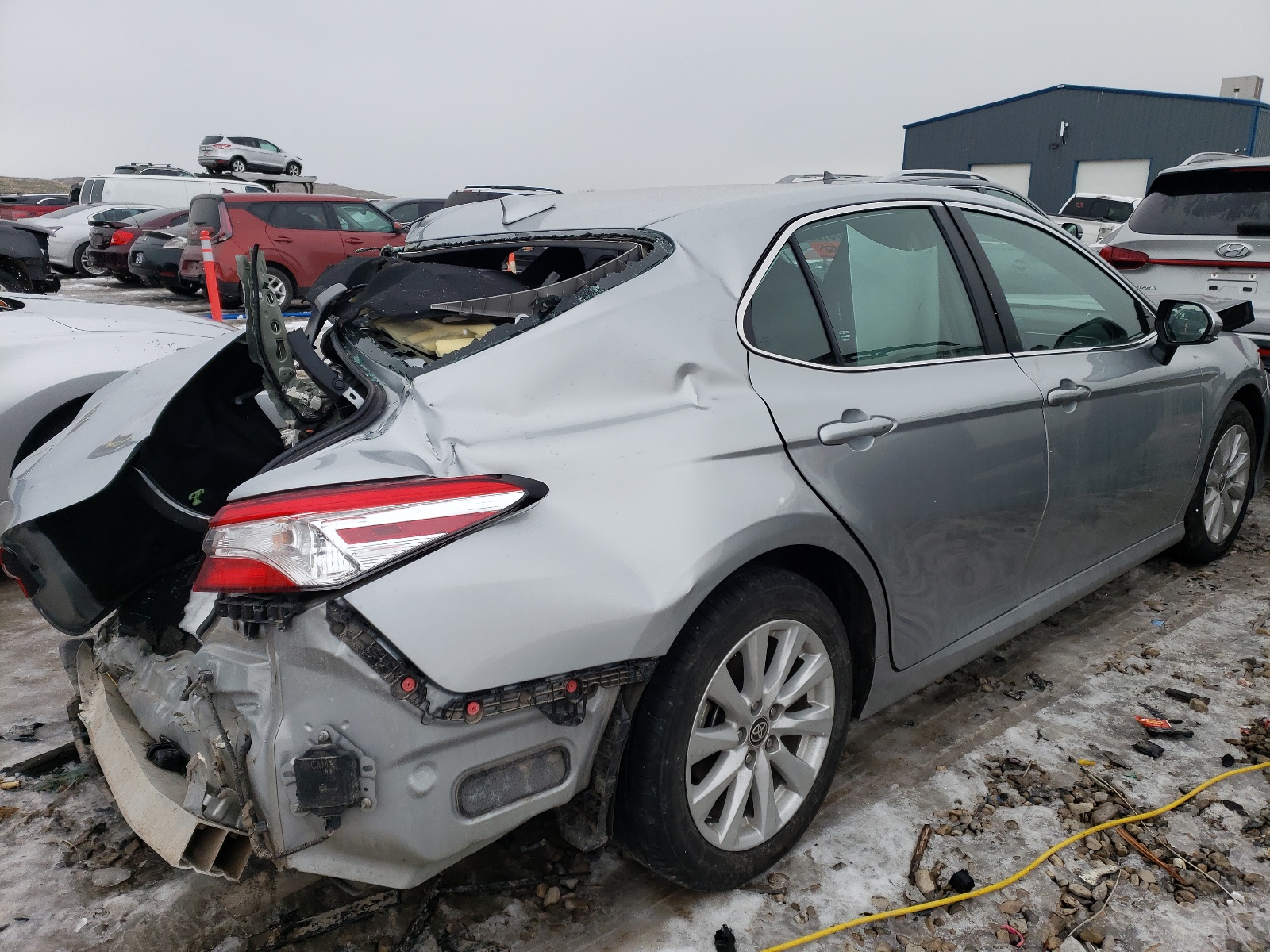 2020 Toyota Camry Le vin: 4T1L11BKXLU017704