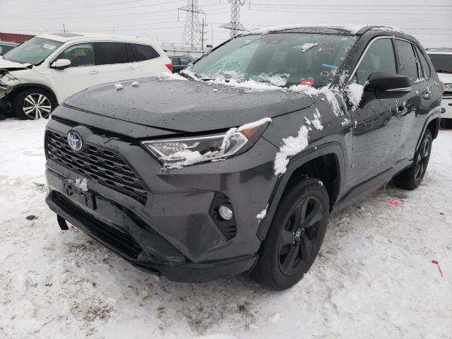 2019 Toyota RAV4 