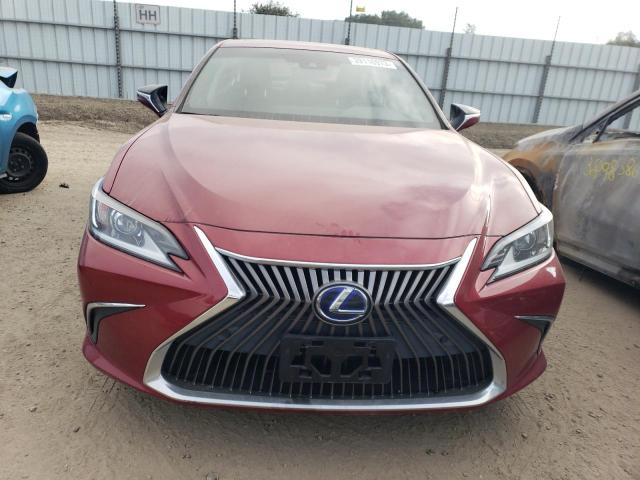 2019 LEXUS ES 300H - 58AB21B18KU003422