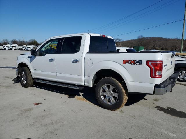 2017 FORD F150 - 1FTEW1EG5HFA41250