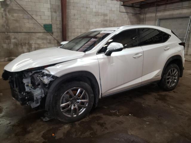 2021 LEXUS NX 300H BA - JTJGJRDZXM5014759