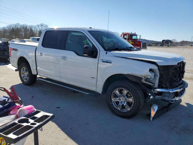 2017 FORD F150 - 1FTEW1EG5HFA41250