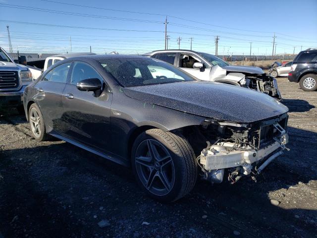 2019 MERCEDES-BENZ CLS AMG 53 - WDD2J6BB5KA039385