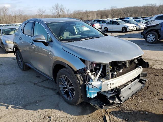2023 LEXUS NX 350 - 2T2GGCEZ3PC017423