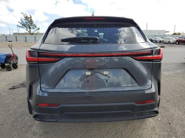 2022 LEXUS NX 250 - JTJADCAZ8N5000147
