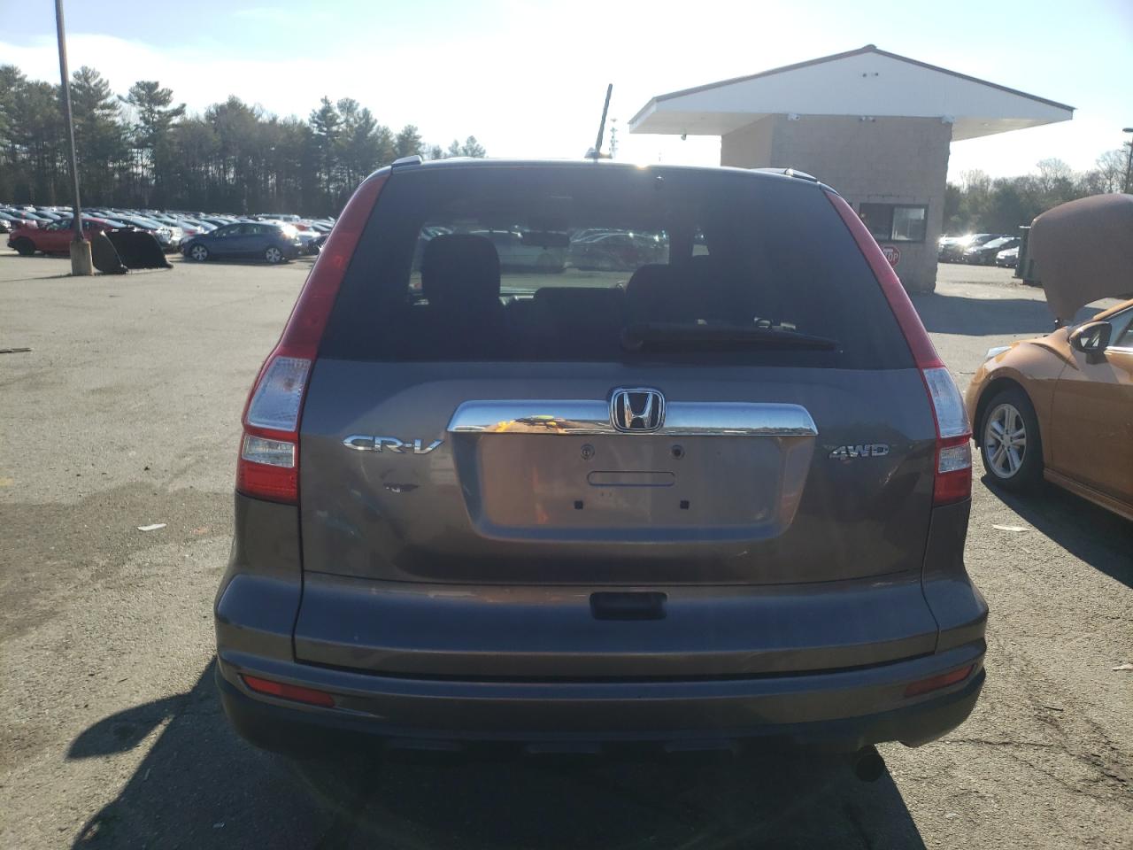 2010 Honda Cr-V Exl VIN: 5J6RE4H73AL048698 Lot: 37733583