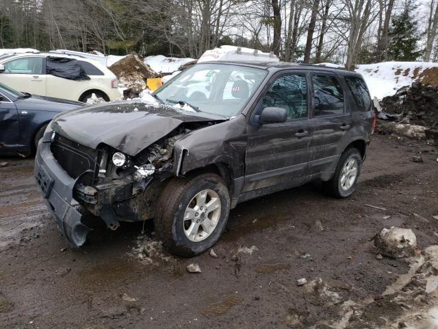 2007 Ford Escape XLT