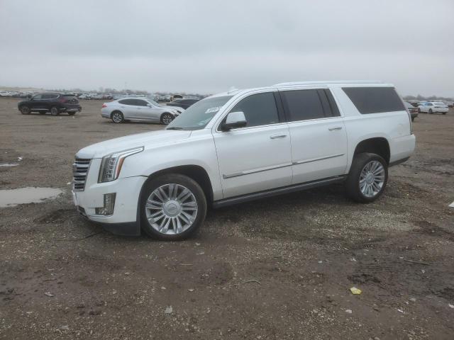 2019 Cadillac Escalade ESV Platinum