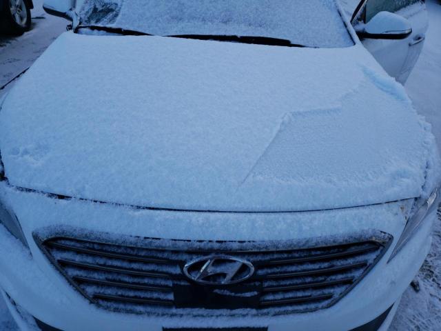 2015 HYUNDAI SONATA SPO 5NPE34AB6FH248401