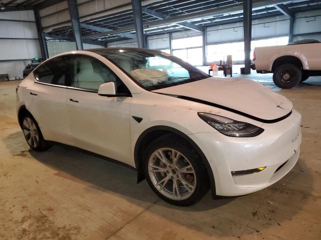 5YJYGDEE3MF210061 Tesla Model Y
