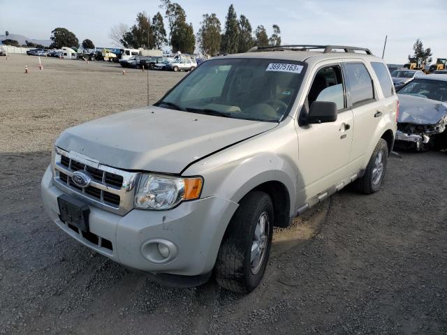 2009 Ford Escape XLT