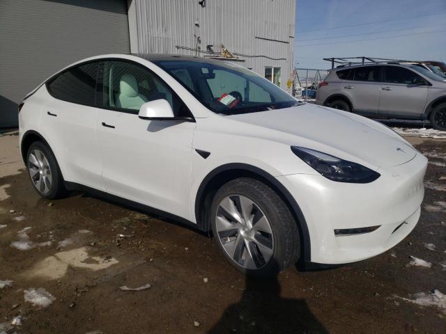 2023 TESLA MODEL Y - 7SAYGDEE4PF633626