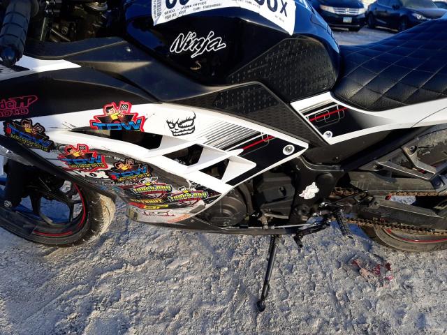 2014 KAWASAKI EX300 B - JKAEX8B17EDA06736