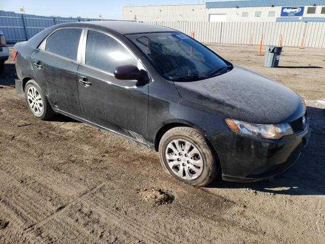 2010 Kia Forte Lx VIN: KNAFT4A29A5856343 Lot: 46871354