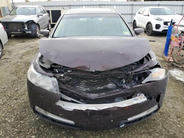 19UUA8F2XAA005239 Acura TL