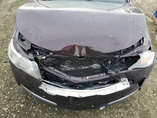 19UUA8F2XAA005239 Acura TL