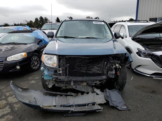 2010 FORD ESCAPE XLT VIN: 1FMCU0DG1AKB61600