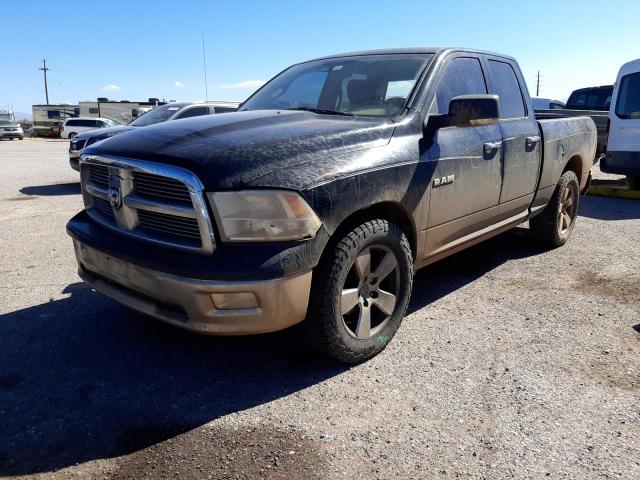 Dodge RAM 1500 salvage cars for sale: 2010 Dodge RAM 1500