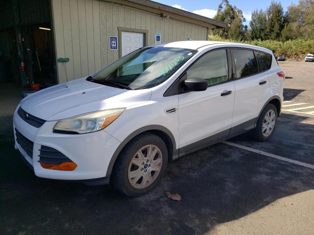 2014 FORD ESCAPE S - 1FMCU0F72EUC01285